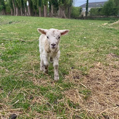 L'orne Vakantiehuis *