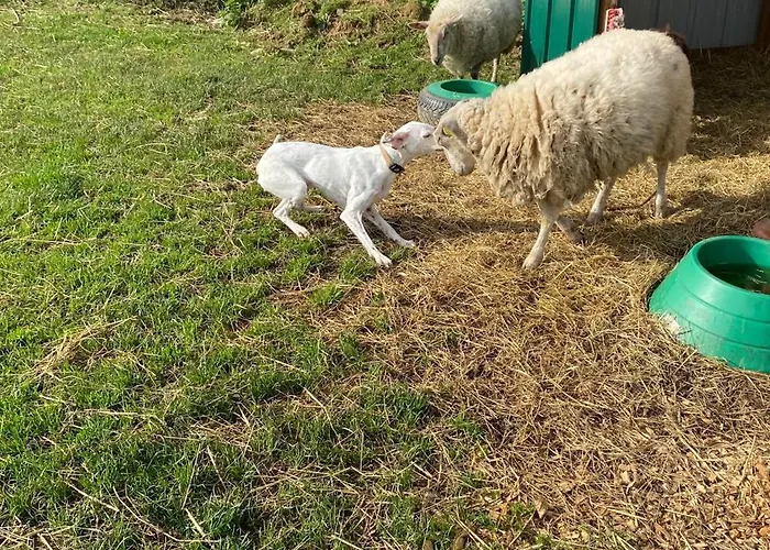 Tatil Evi L'orne Caen